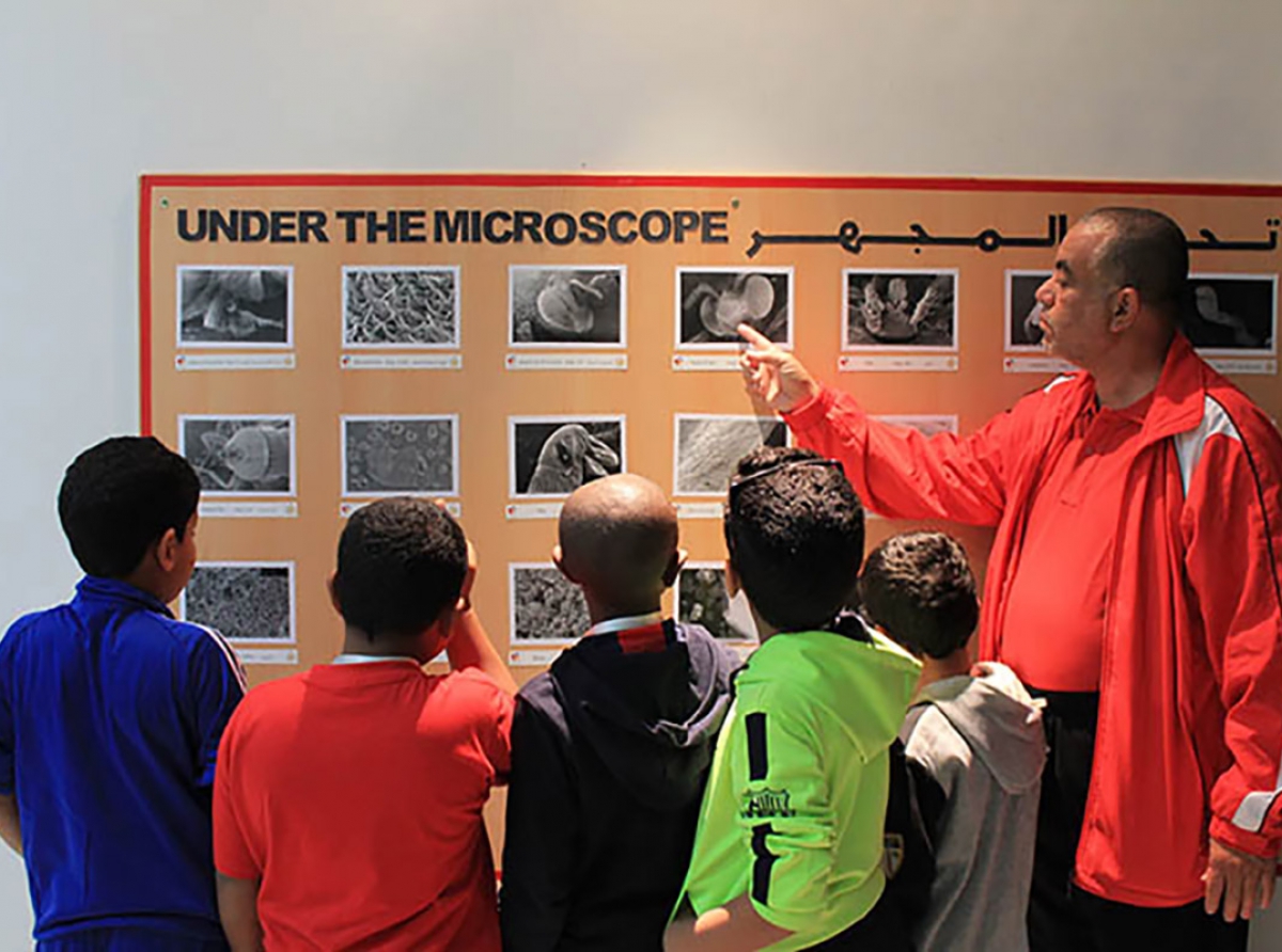  برنامج ملتقى الربيع الخامس للأطفال: متعة اللعب.. وتعلم الحياة